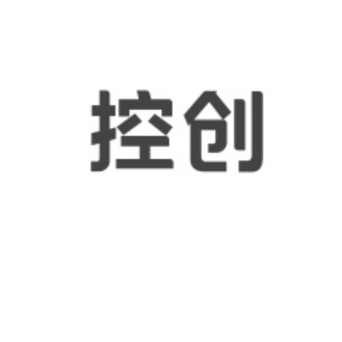 控創信息-836166-上海控創信息技術股份有限公司