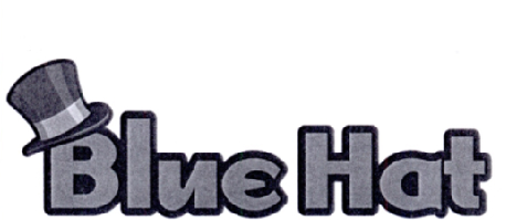 藍帽互動-837395-福建藍帽子互動娛樂科技股份有限公司
