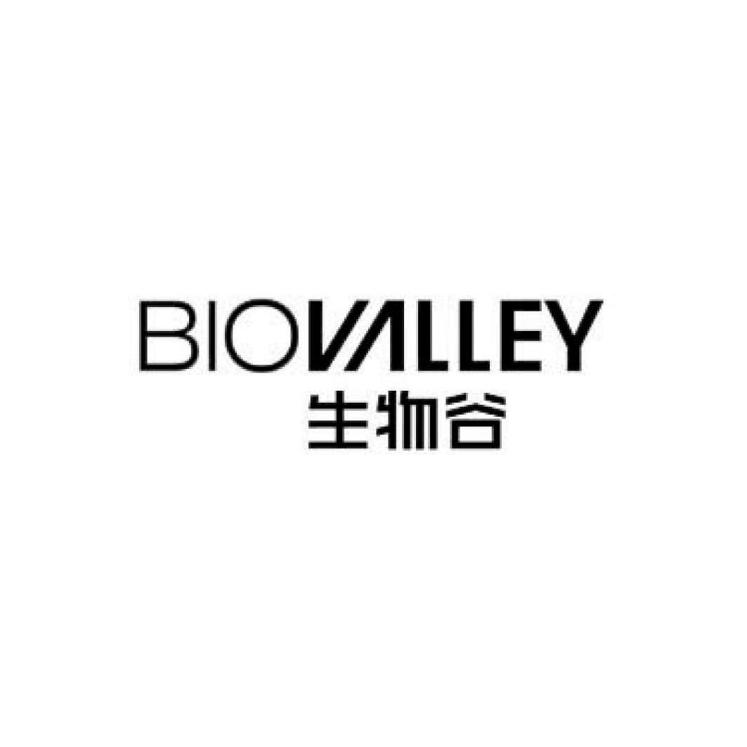 生物谷-833266-雲南生物谷藥業股份有限公司