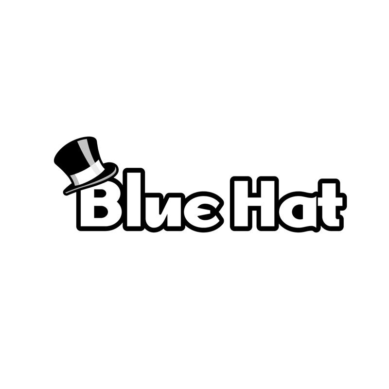 藍帽互動-837395-福建藍帽子互動娛樂科技股份有限公司