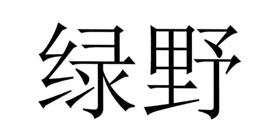 綠野視界-北京綠野視界信息技術有限公司