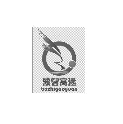 波智高遠-430754-北京波智高遠信息技術股份有限公司