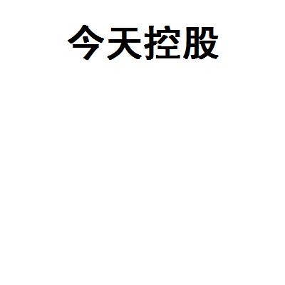 今天國際-300532-深圳市今天國際物流技術股份有限公司