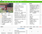 中國電子琴信息網cndzq.com