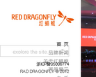 紅蜻蜓集團-紅蜻蜓集團有限公司