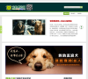 寵物贈送網zengsong.org