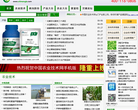 山丹丹-潞城市山丹丹網路信息科技開發有限公司