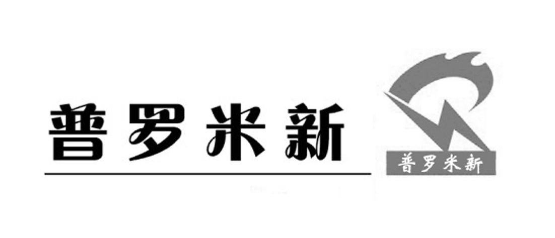 普羅米新-832483-成都普羅米新科技股份有限公司