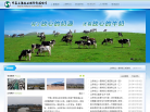 中國養羊網www.zgyangyang.com