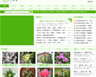 花卉網www.hua002.com