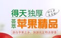 湖南廣告/商務服務/文化傳媒公司網際網路指數排名