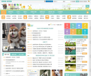 寵物玩具網站-寵物玩具網站alexa排名