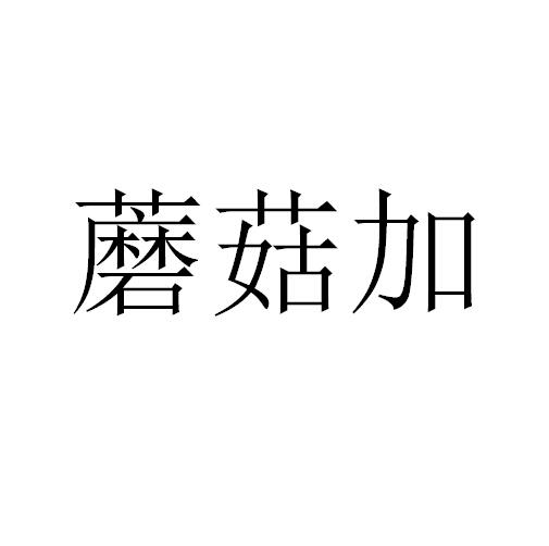 惠裝網路-北京惠裝網路信息科技有限公司