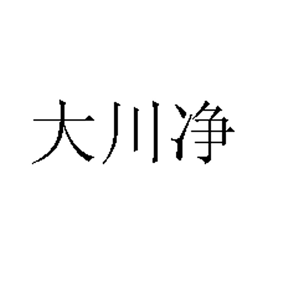 大川新材-834193-浙江大川新材料股份有限公司