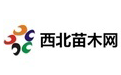 陝西IT/網際網路/通信公司網際網路指數排名