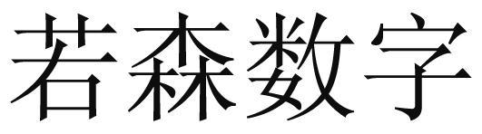 若森數字-北京若森數字科技有限公司