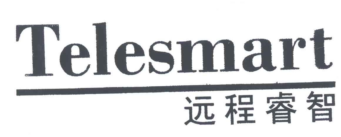 遠程睿智-北京遠程睿智商務諮詢有限公司