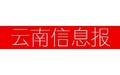 雲南廣告/商務服務/文化傳媒公司網際網路指數排名