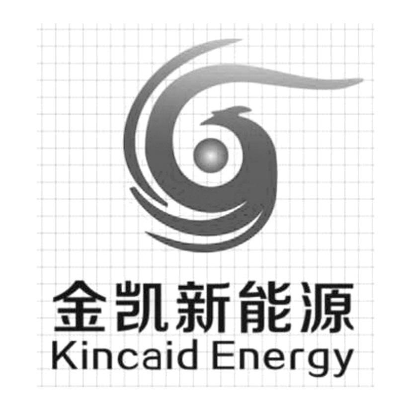 西藏能源-832372-西藏金凱新能源股份有限公司