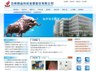 雲銅科技-430530-雲南銅業科技發展股份有限公司