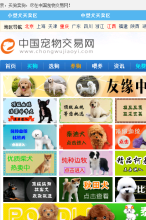 賣狗網手機版-m.chongwujiaoyi.com