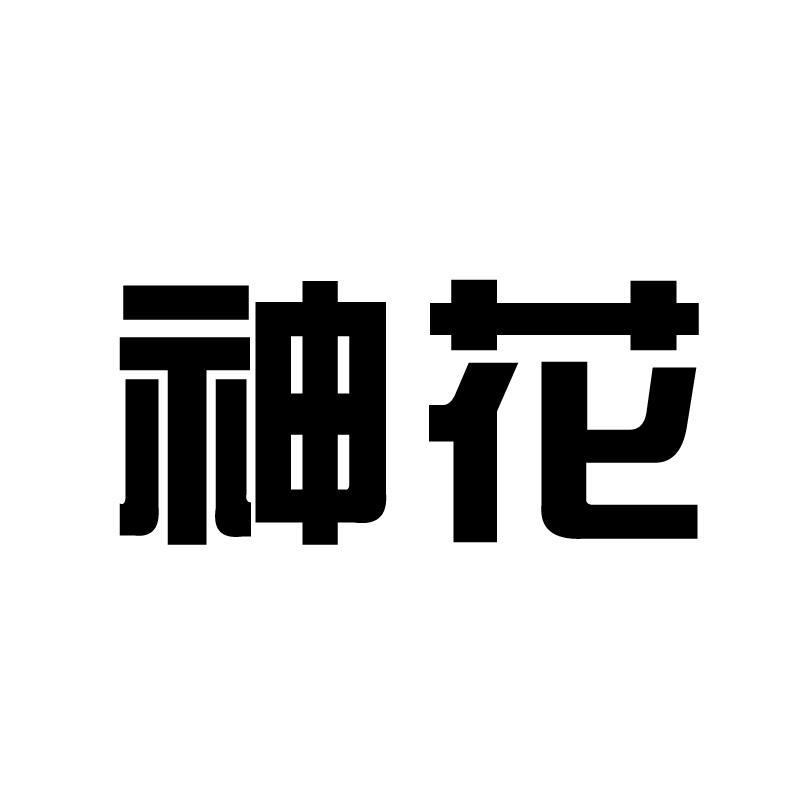 蘭花納米-839189-山花椰菜華明納米材料股份有限公司