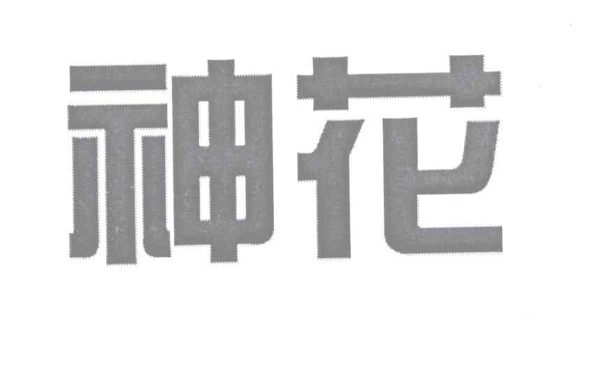 蘭花納米-839189-山花椰菜華明納米材料股份有限公司