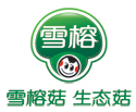 上海農林牧漁A股公司市值排名