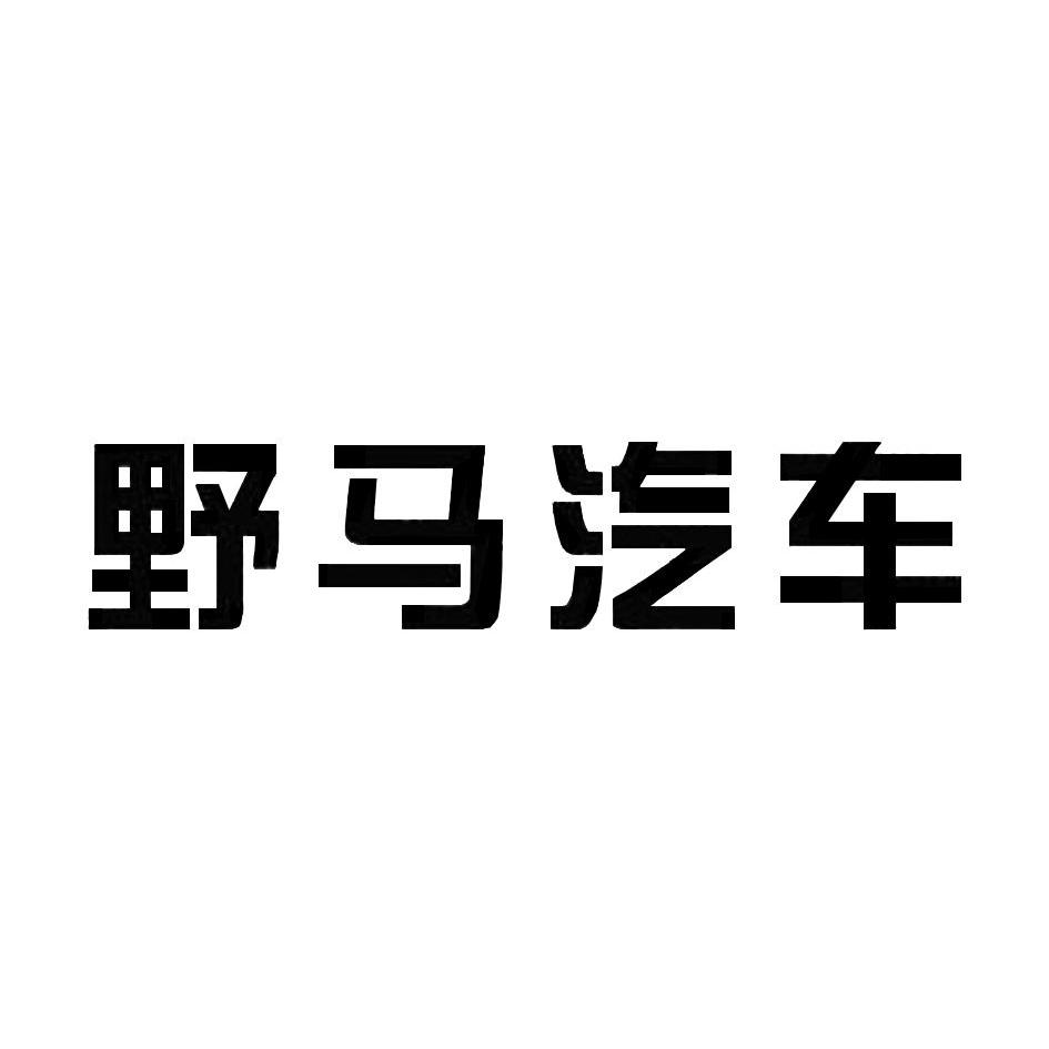 野馬汽車-四川野馬汽車股份有限公司