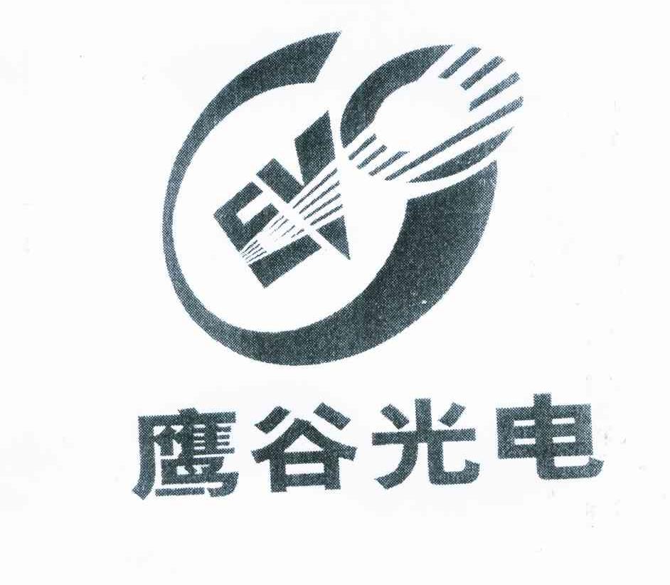 鷹谷光電-838454-重慶鷹谷光電股份有限公司