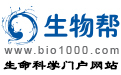 廣東IT/網際網路/通信未上市公司行業指數排名