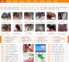 寵物玩具網站-寵物玩具網站alexa排名