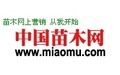 宏威邁通-瀋陽宏威邁通科技有限公司