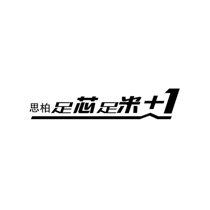 思柏科技-839181-廣東思柏科技股份有限公司