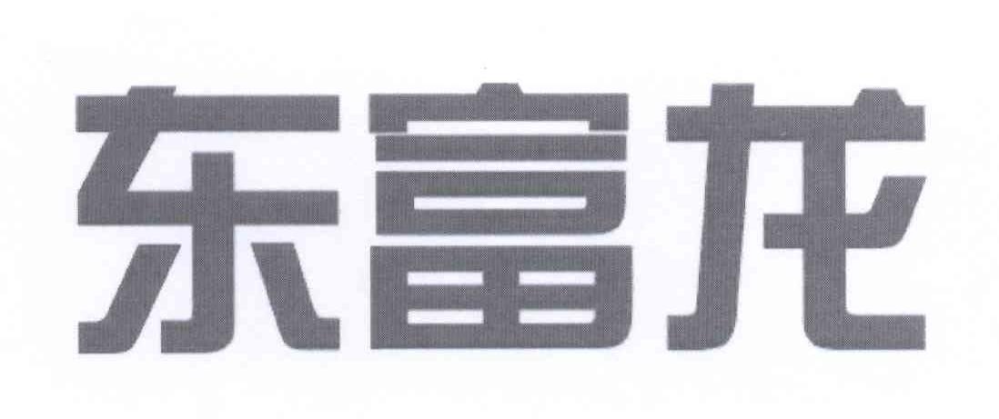 東富龍-300171-上海東富龍科技股份有限公司
