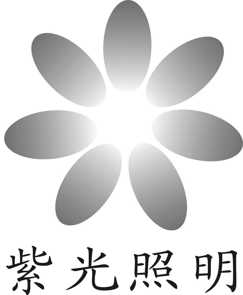 紫光照明-836945-深圳市紫光照明技術股份有限公司