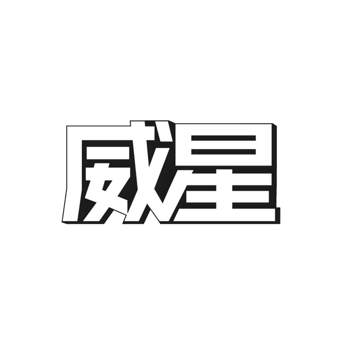 廣州維勝-廣州維勝信息技術有限公司