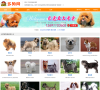寵物玩具網站-寵物玩具網站網站權重排名