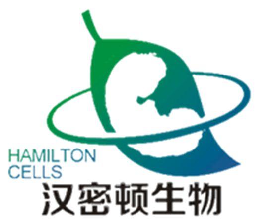 漢密頓-834147-武漢漢密頓生物科技股份有限公司