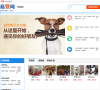 易登分類信息網寵物頻道chongwu.edeng.cn