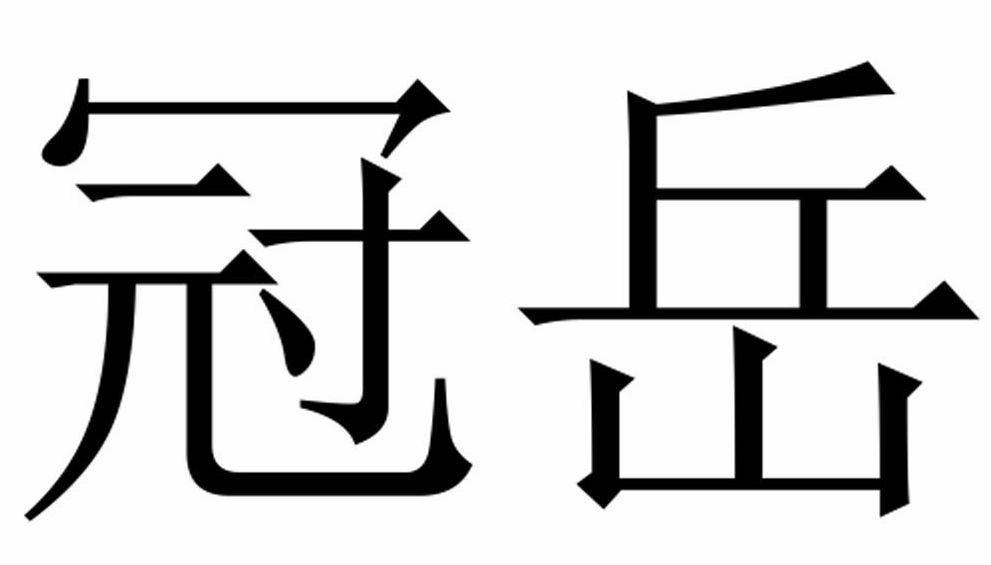 冠岳網路-廣州冠岳網路科技有限公司