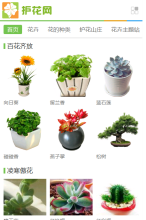 花卉網手機版-m.aihuhua.com
