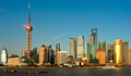 上海建設工程/房產服務A股公司排名-上海建設工程/房產服務A股公司大全