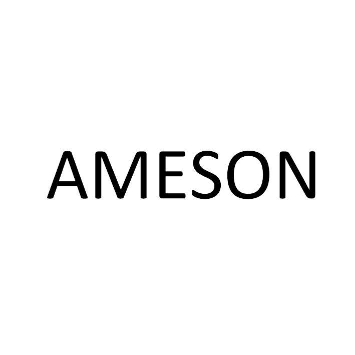 艾美森-835343-廈門艾美森新材料科技股份有限公司