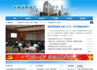滕州市政府公開目錄info.tengzhou.gov.cn