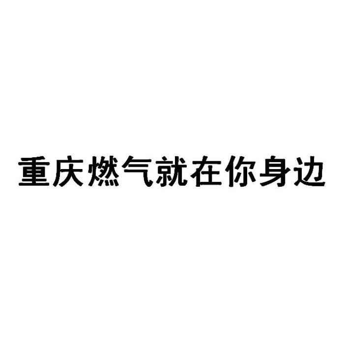 重慶燃氣-600917-重慶燃氣集團股份有限公司