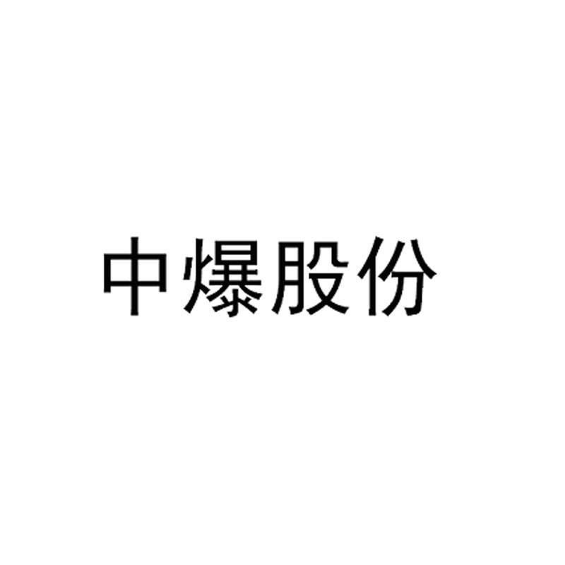 中爆數字-832114-廣州中爆數字信息科技股份有限公司