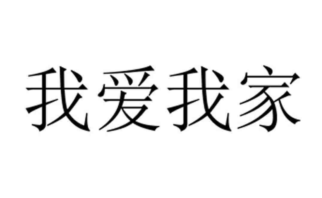 鴻洋電子-上海鴻洋電子商務股份有限公司