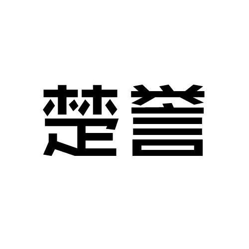 楚譽科技-834644-武漢楚譽科技股份有限公司