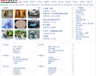 中國女裝網lady.ef43.com.cn